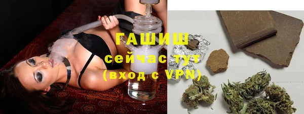 мдпв Горняк