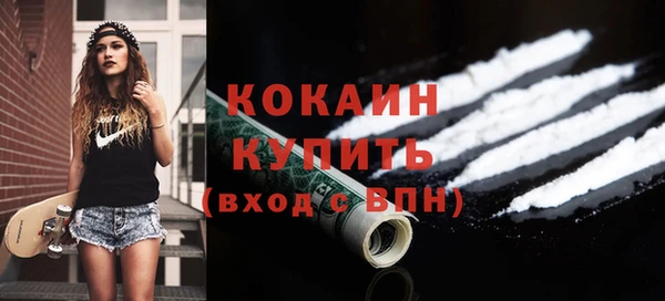 дмт Гусев