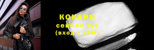 дмт Гусев