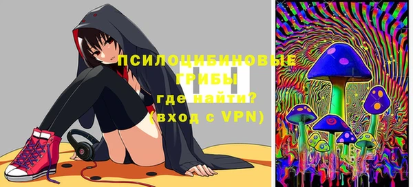 твердый Гусиноозёрск