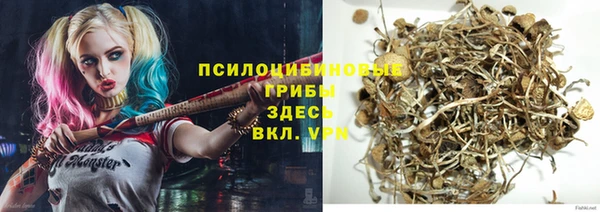 твердый Гусиноозёрск