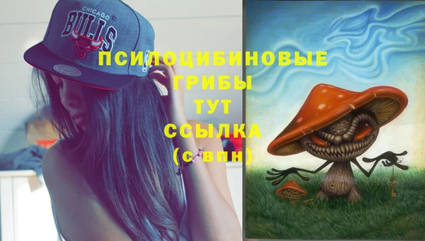 мет Гусь-Хрустальный