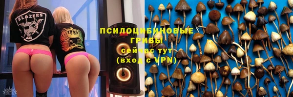 твердый Гусиноозёрск