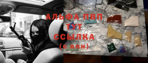 дмт Гусев
